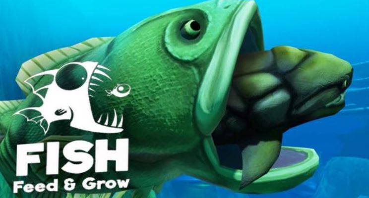 Fish Feed And Grow